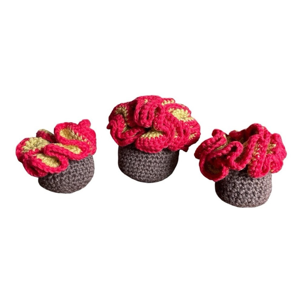 Set of 3 Handmade Succulents with Red Edges Crochet Cactus Amigurumi Home Decor